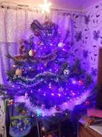 20131226_162207.webp