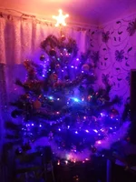 20131226_162200.webp