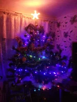 20131226_162134.webp