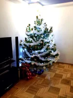 image.webp