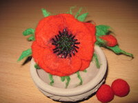 IMG_2478.jpg