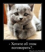 kot-pogovorit.jpg