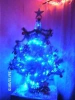 PICT7504.webp