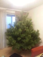 20131228_152346.webp