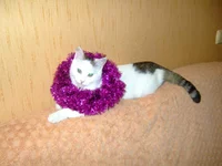 DSCF8971.jpg