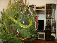 -1991939327.webp