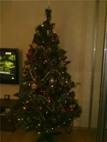 6067d90000d7.webp