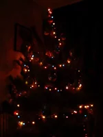 6745f2bb7202.webp