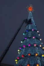 FOTO5284.webp
