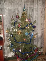SDC11561.webp