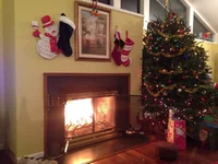 image.webp