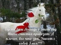 .webp
