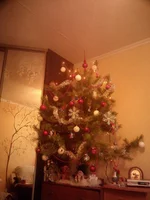 339.webp