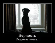 283057_vernost.jpg