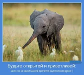 motivator-52158.webp