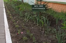 podborka_01.webp