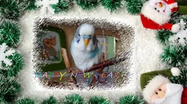 175271415.webp
