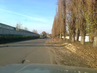 Котлова 222 Разрытие 2.jpg