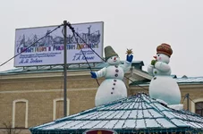 FOTO5379.webp