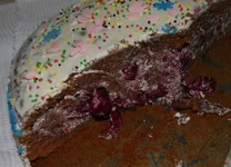 DSCN8606.webp