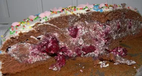 DSCN8605.webp