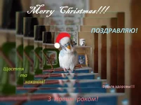 01.webp