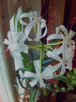 07.07.26.л6.webp