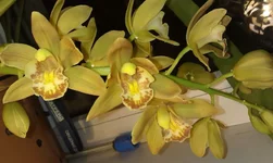 IMAG0443.jpg