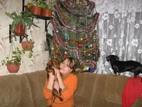 IMG_0530.jpg