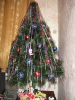 11111.webp