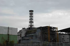 DSC_0817 копия.webp