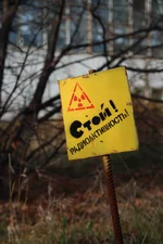 DSC_0956 копия.webp