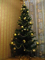 IMG_5306.webp