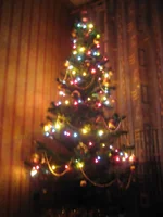 IMG_5314.webp