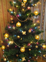 IMG_5315.jpg