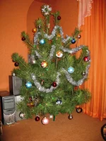  003.webp