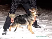 PICT0120.webp