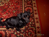 PICT0116.webp