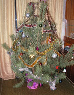 PICT0023.jpg