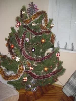 IMG_1660.webp