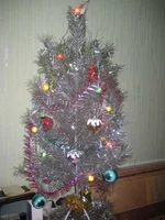 IMG_1661.webp