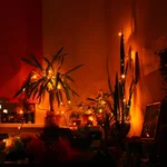 IMG_0048 copy.jpg
