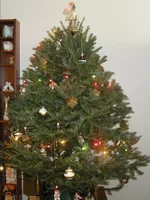 DSCN1321fp.webp
