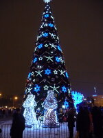 P1000210_resize.jpg