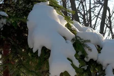 ds_4.webp