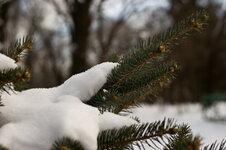 IMG_0871_новый размер.jpg