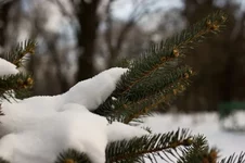 IMG_0871_новый размер.webp