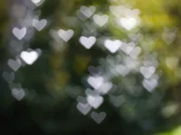 heart-bokeh.webp