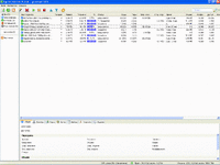 torrent.gif