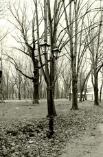 Untitled-3-copy.jpg